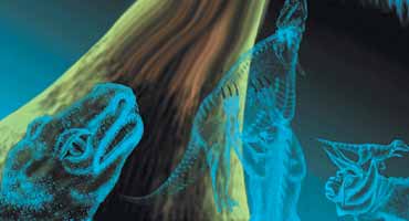 ���������� �������� (��������)