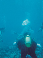 ��������� ���