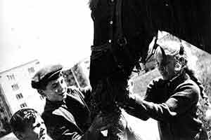 ������ - ������������ ������.