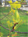 Tulip tree 
– Liriodendron Tulipifera
