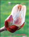 Chestnut – Castanea verca Gaerth.