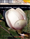Magnolia Soulangeana – hybrid «Iolanthe»