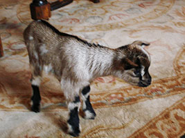 ������� � ������ � �����