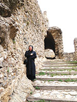 �������� �������� � ���������, 2010 ���